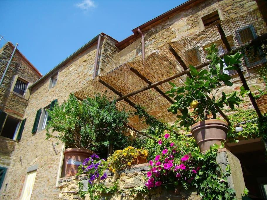 Near The Sea Big Panoramic House 2 Terraces In Lovely Village Монтияно Экстерьер фото